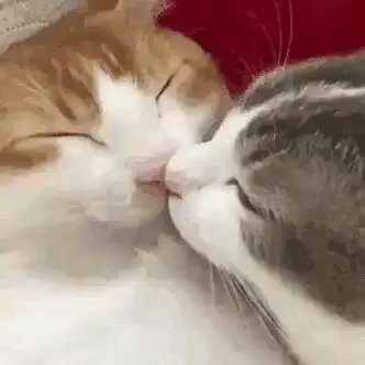 有没有情侣之间用的亲亲的表情包