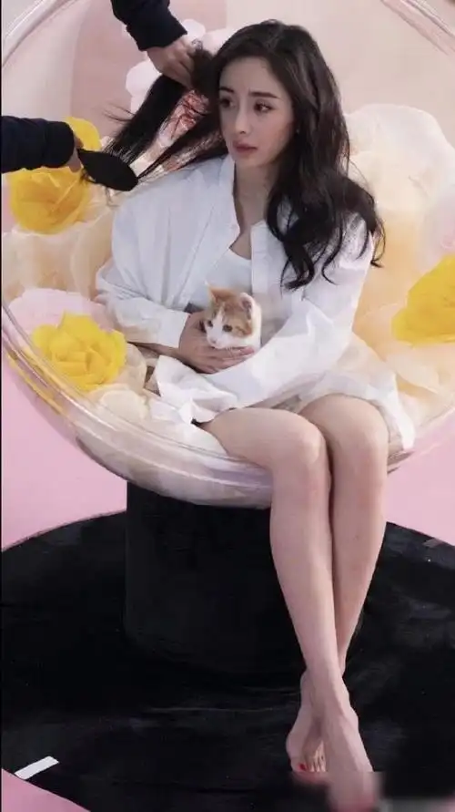 照片中杨幂罕见的大秀美腿,穿着白衬衫,赤脚坐在蛋壳椅上,女性的魅力