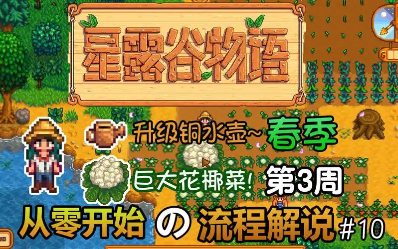 丁菊长升级水壶巨大花椰菜星露谷物语stardewvalley从零开始的流程