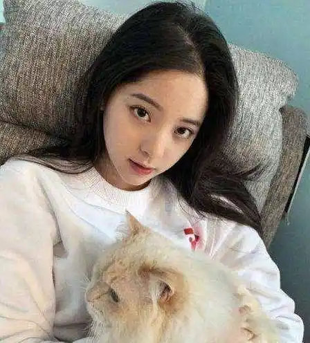 表演_杨颖_吴亦凡