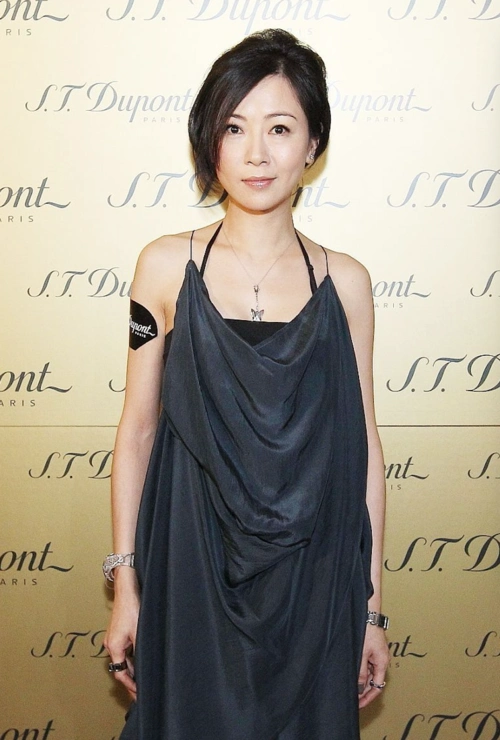 袁洁莹打扮质朴出席活动坦言状态不佳不复出零收入不影响生活