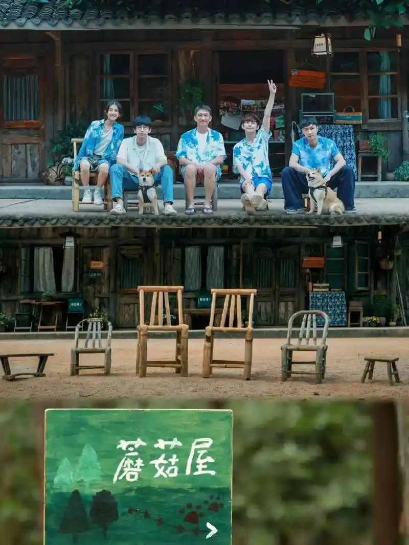 再见,蘑菇屋.#向往的生活 #何炅 #彭昱畅 #张子枫  告 - 抖音