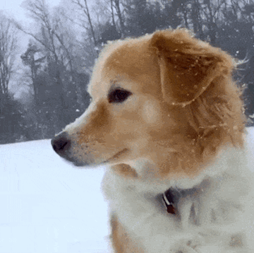 搞笑gif:车子想要闹脾气,就凭你们四个人,是不可能哄好它的