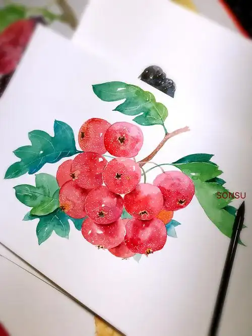 山楂|插画|商业插画|sonsu松鼠 - 原创作品 - 站酷 (zcool)