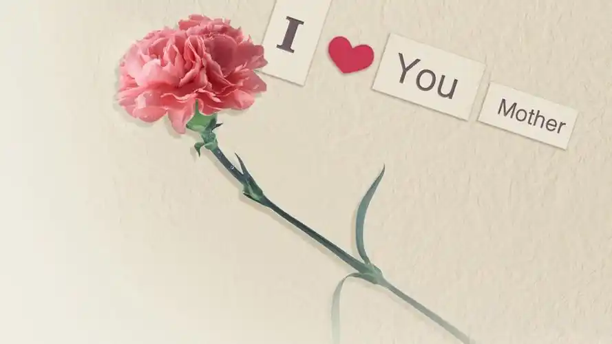 母亲节的来历和意义2020年母亲节怎么过