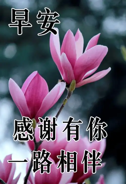 11月17日最漂亮早上好动态表情图片大全早晨好动图美图大全暧心问候动