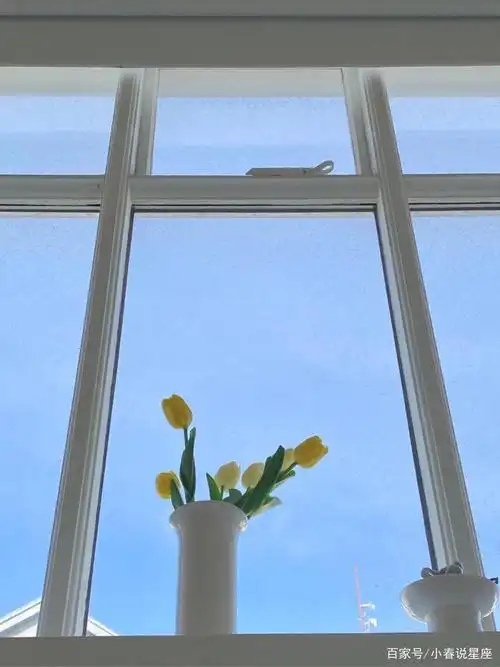 朋友圈中的唯美文案,小众独特,高级温柔