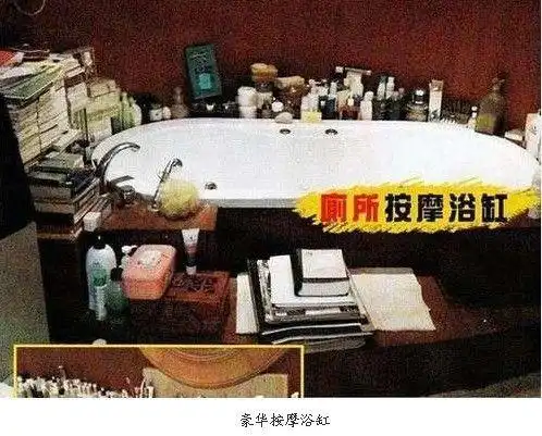 梅艳芳遗多项豪宅过亿 故居封闭7年首曝光(组图)