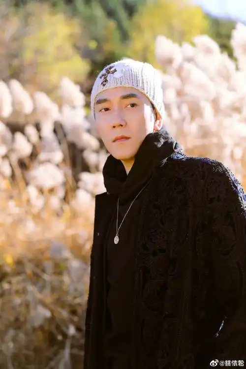 林依轮六宫格芦苇荡随拍