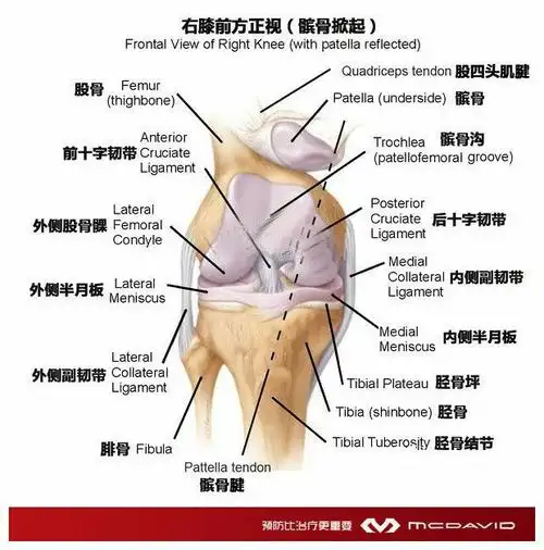 膝关节侧副韧带损伤的护理