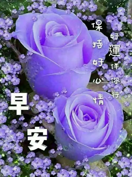 早安问候图(一) - 美篇