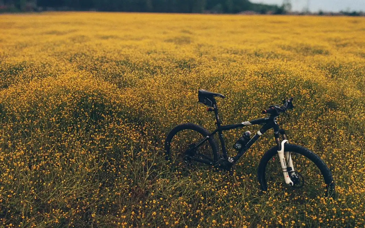精选自行车静物高清图片桌面壁纸