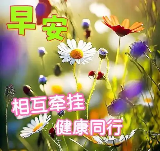 早安图片早安问候因有惦念愿我们健康无恙岁岁平安