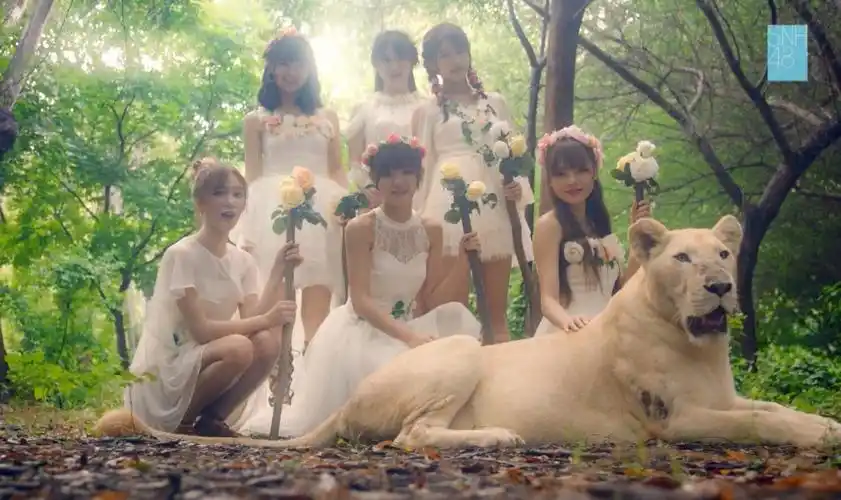 组图:snh48《梦想岛》mv泳装起舞 展青春活力_高清图集_新浪网