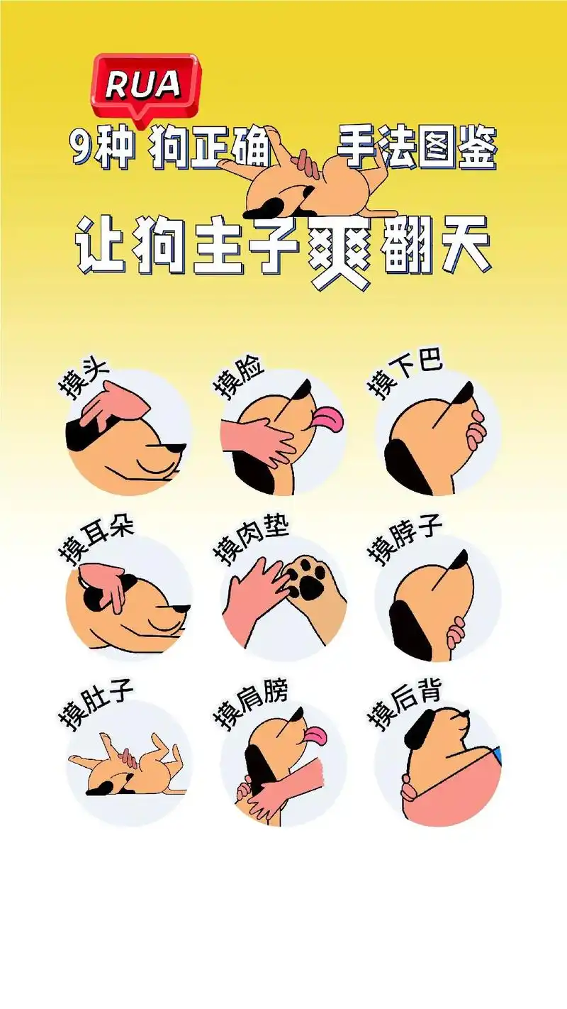 正确撸狗手法教程.rua狗一时爽,一直 - 抖音