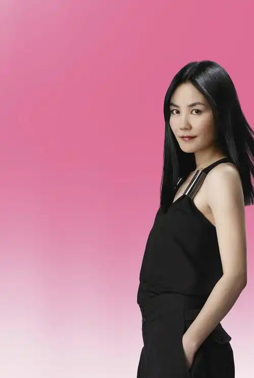 著名女歌手王菲最新图片专辑