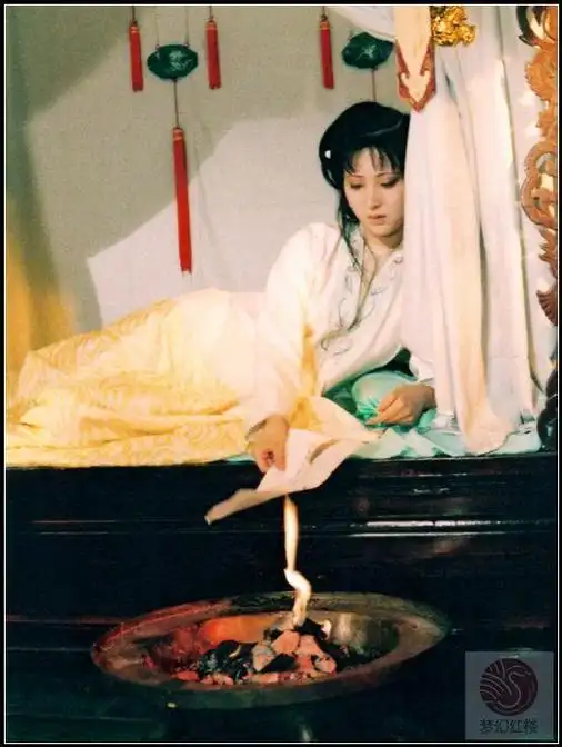 满腹经纶的黛玉也只能困于大观园的深闺中,最终仍逃脱不掉"焚稿断