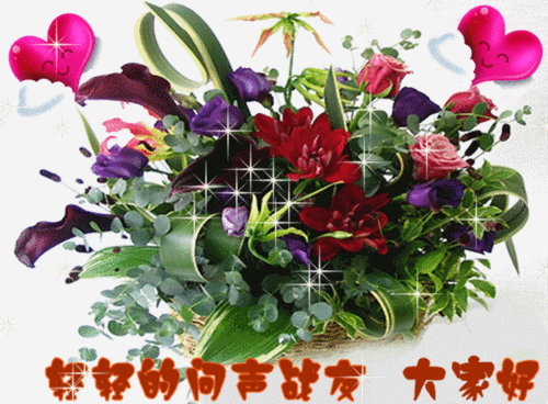 700_515gif 动态图 动图