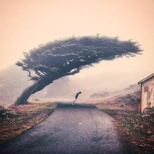 一个人的长大不光是体型的膨胀,更是需要心智的成熟.