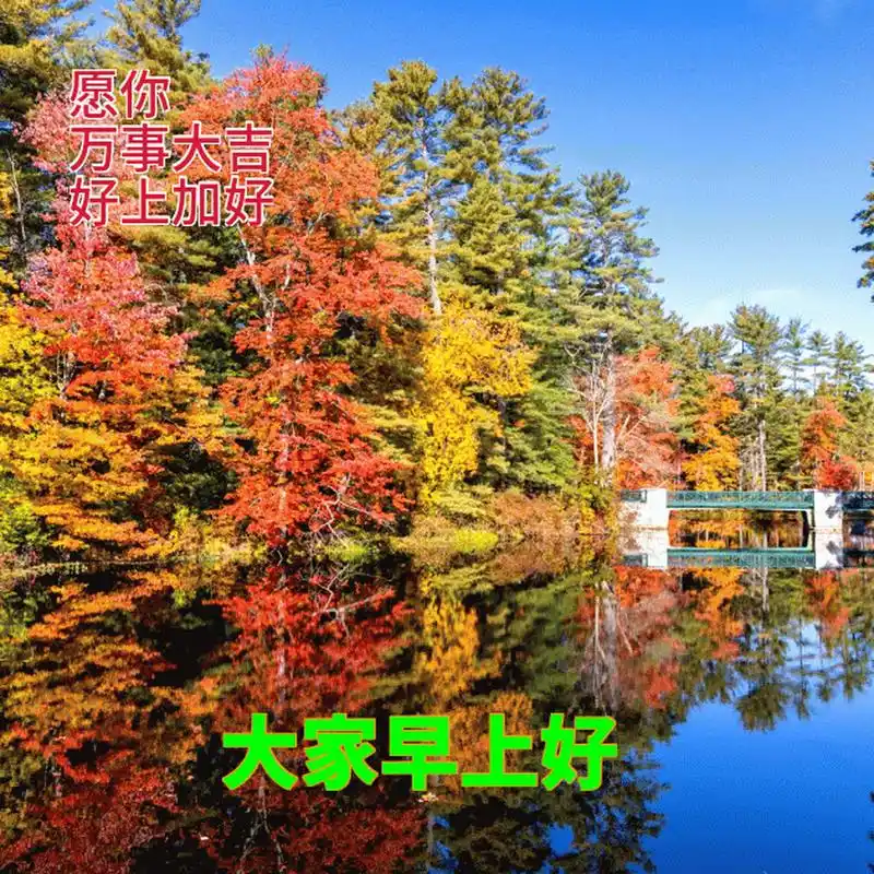 7月第一天,最新版温馨早上好问候语,最新早安祝福问候语句 1,人应该带