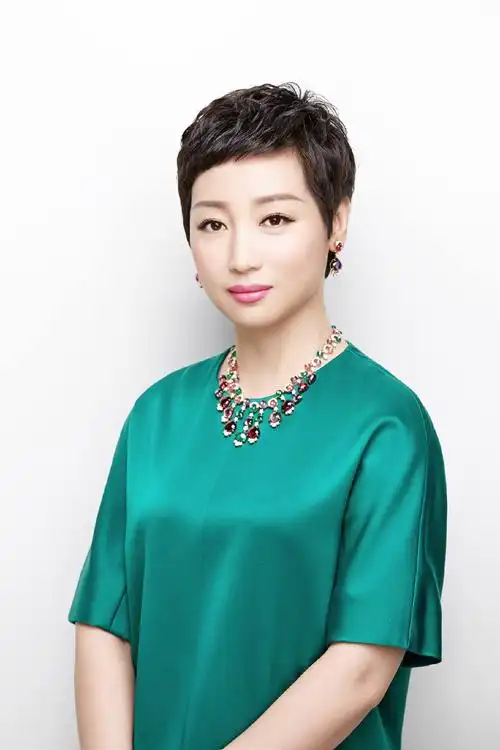 国美控股集团ceo杜鹃重新定义零售关于黄光裕家庭股权之争