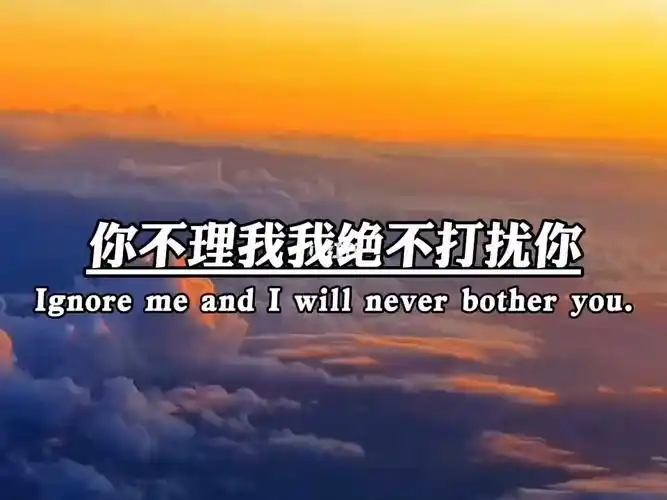 你不理我我绝不打扰你,你冷落我我也会慢慢冷落你,你珍惜我我会加倍对