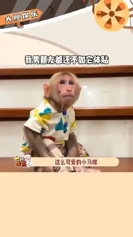 这么可爱的小马喽谁不想要一个呢,这简直和小朋友一样呢!马喽可