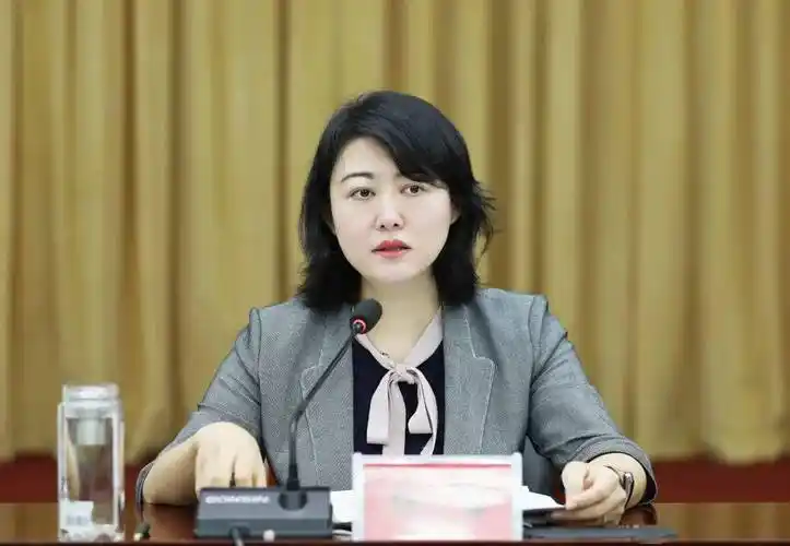 杨蕾统一思想坚定信心跑出任泽加速度推动全区经济发展焕发新活力