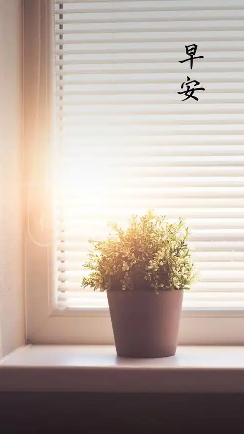 唯美意境,八月,早安,早晨,阳光,唯美,手机壁纸八月第一天的早安问候