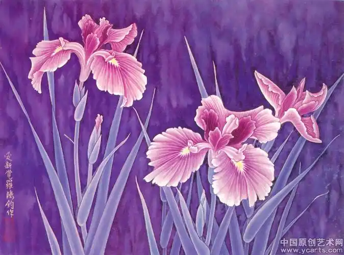 工笔鸢尾花白描,鸢尾花白描_大山谷图库