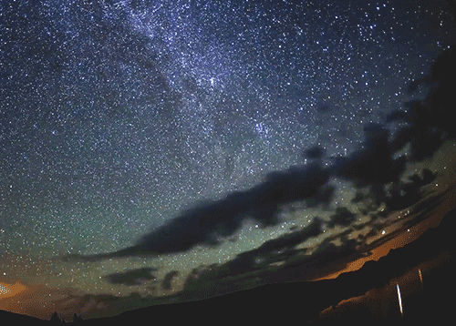 茫茫宇宙,万物生灵,到处都是新奇的事物.
