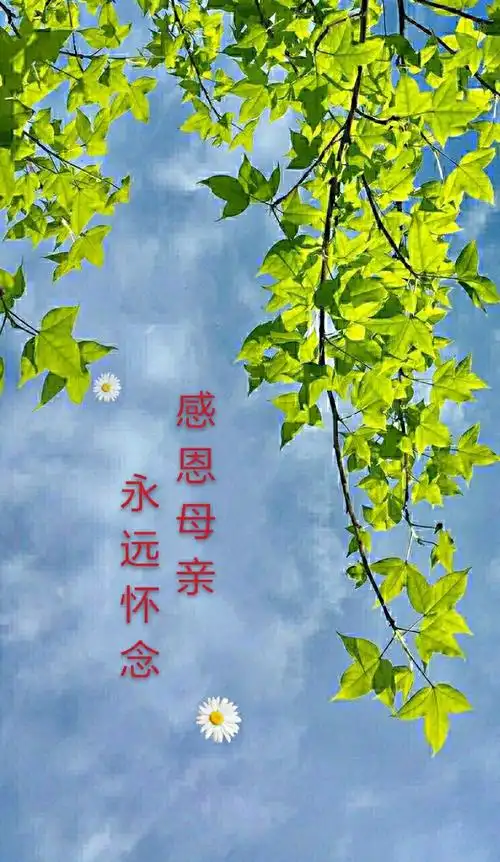 感恩母亲,永远的怀念