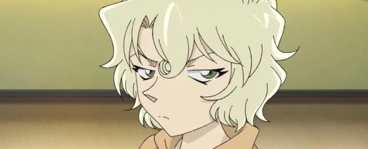 领域外的妹妹真实含义