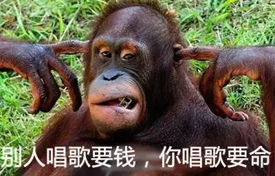 猴子gif搞笑gif唱歌gif捂耳朵gif