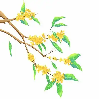 中秋节彩色手绘古风桂花花枝元素png素材金秋桂花中秋节桂花枝