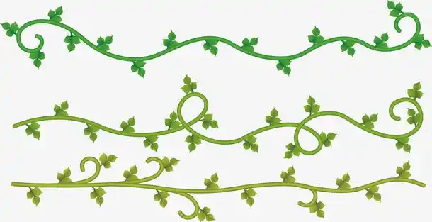 卡通手绘,立体花藤,包装花边,健康教育,爬山虎,弯曲植物,蝴蝶花藤