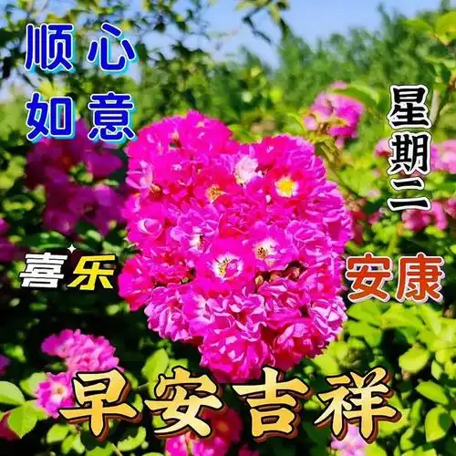 早上好精选温馨祝福图片问候语