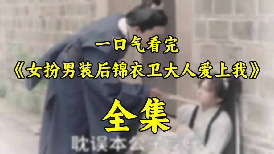 女扮男装后锦衣卫大人爱上我 33集(全)