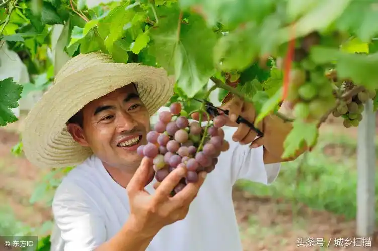 丰收农民的10张笑脸,也许你看后会情不自禁地跟着笑