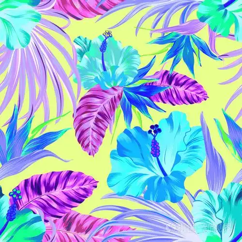 矢量热带模式插画-正版商用图片0s2wt8-摄图新视界