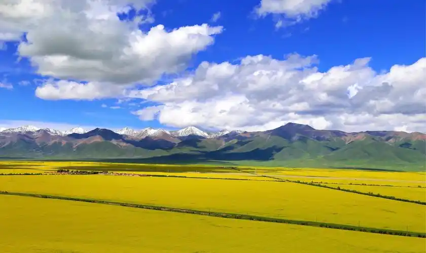 蓝天白云 雪山草地!