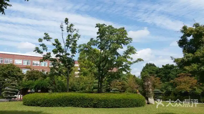 启明大学-图片-大邱景点玩乐-大众点评网