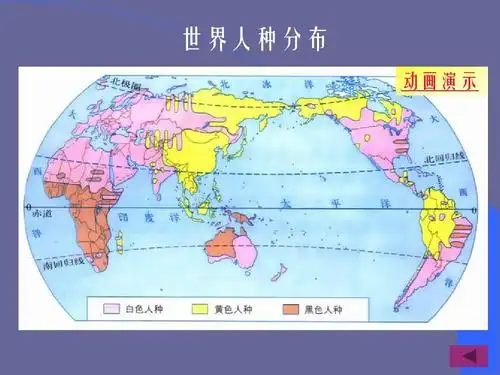 3.2世界的人种(2)课件(湘教版七年级上册) 世界人种分布 动画演示