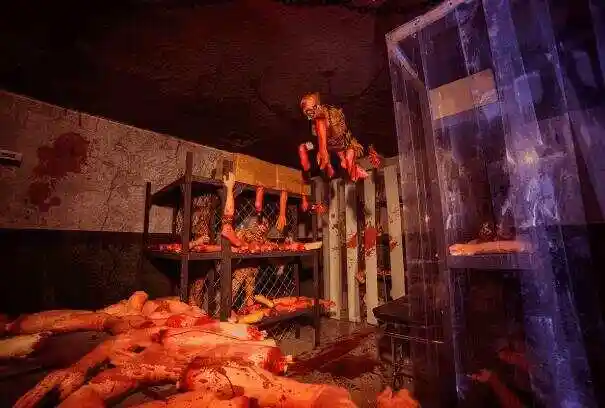 世界上最恐怖的鬼屋富士急鬼屋以医院为背景