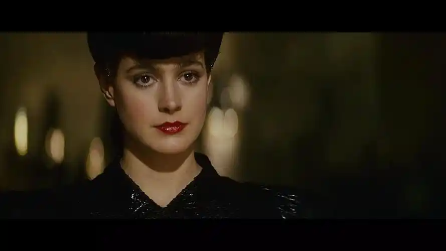 9张图回顾一下82版银翼杀手