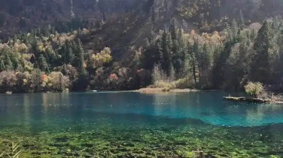 九寨沟自由行,真的好漂亮,值得一去的风景区