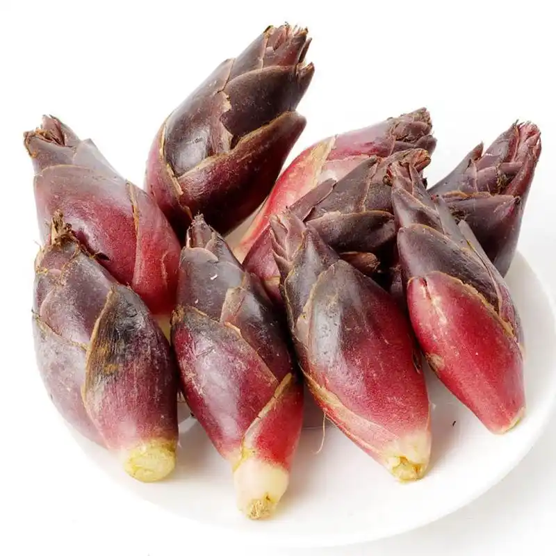 巫蛊之术,家纹传说竟与阳荷有着如此深刻的关系!