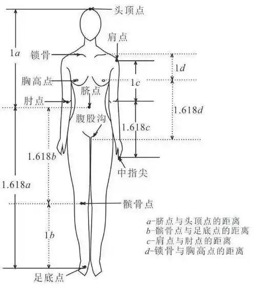 时装设计师必修课:黄金比例与服装设计