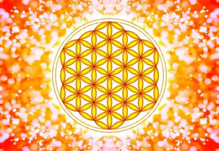 生命之花图 - 高清图片,堆糖,美图壁纸兴趣社区