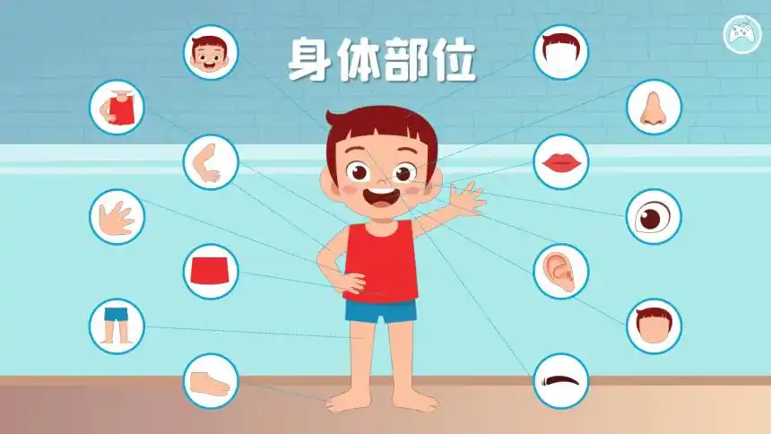 小学专题教育身体部位分享 课件 (45张ppt)